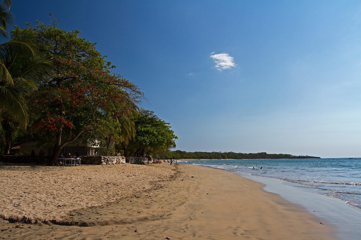 Sunny day on Tamarindo beach with swimmers and shade trees, Guanacaste