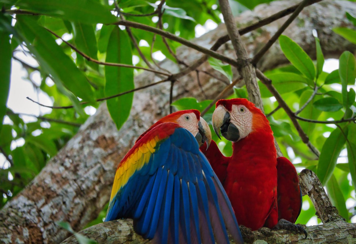 13 Facts About Guanacaste Most Visitors Never Learn