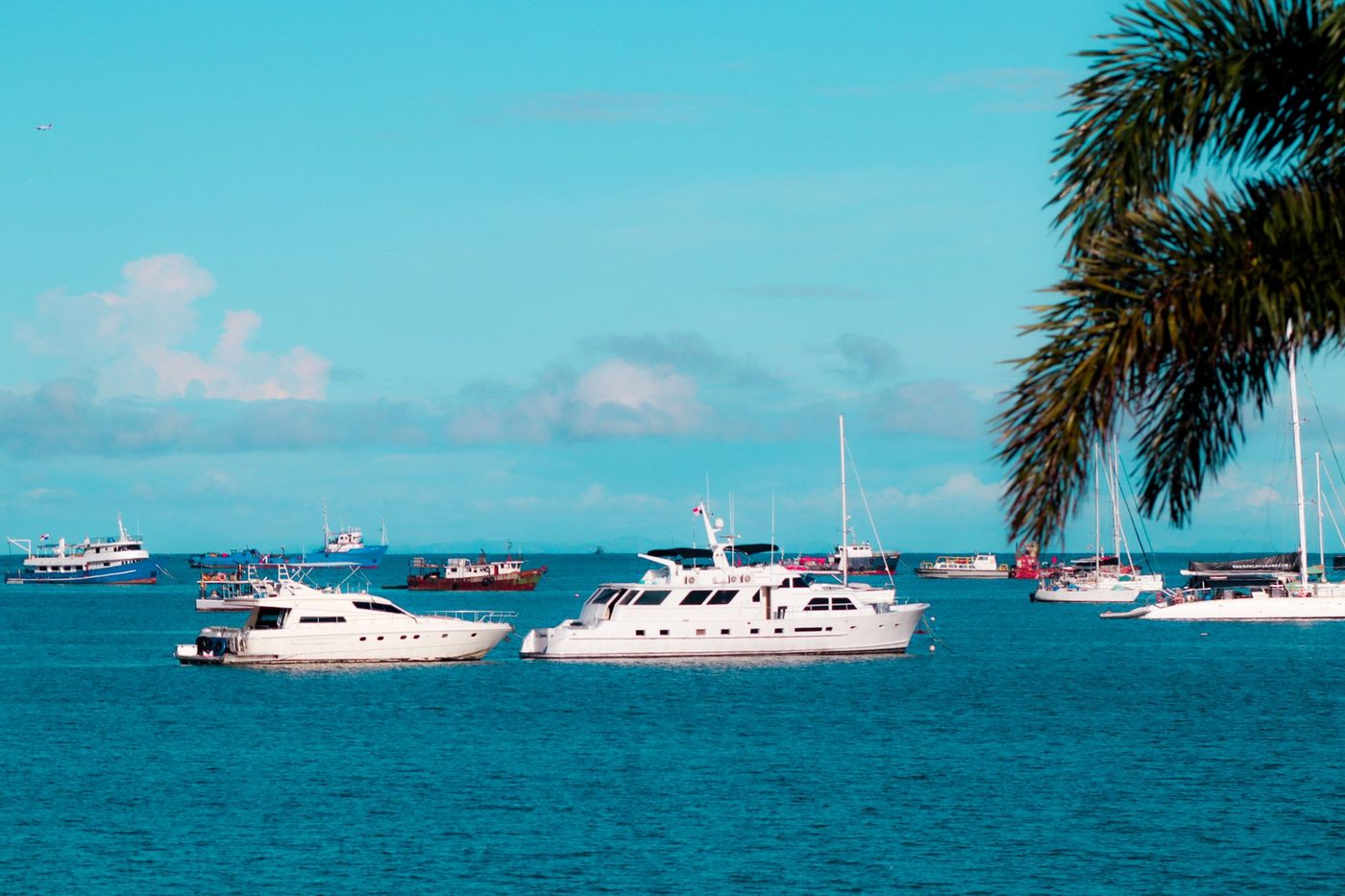 Yachts and fishing boats anchored in a tropical bay with a palm frond overhead