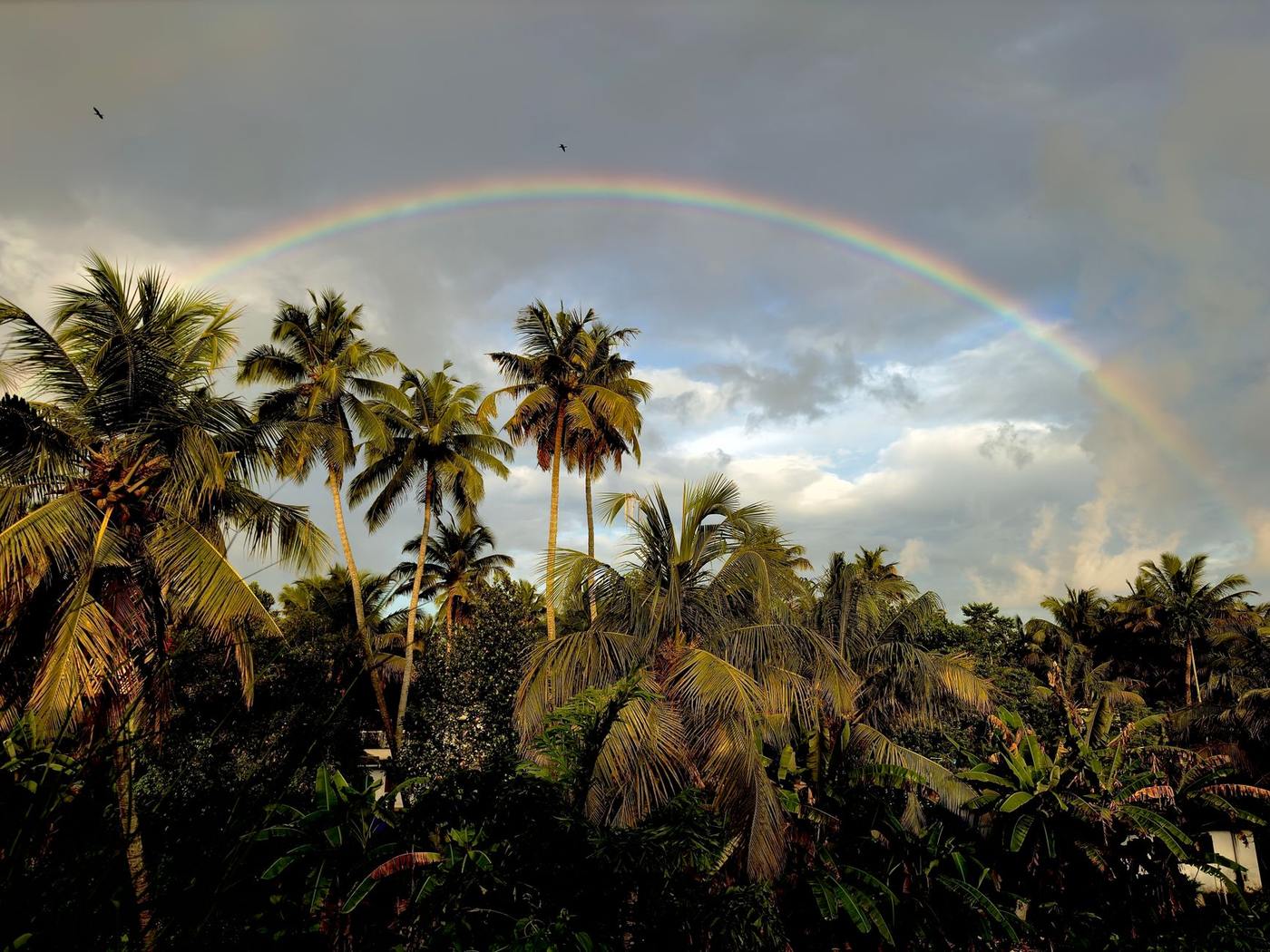 7 Rainy Day Plans in Guanacaste That Beat Staying Home