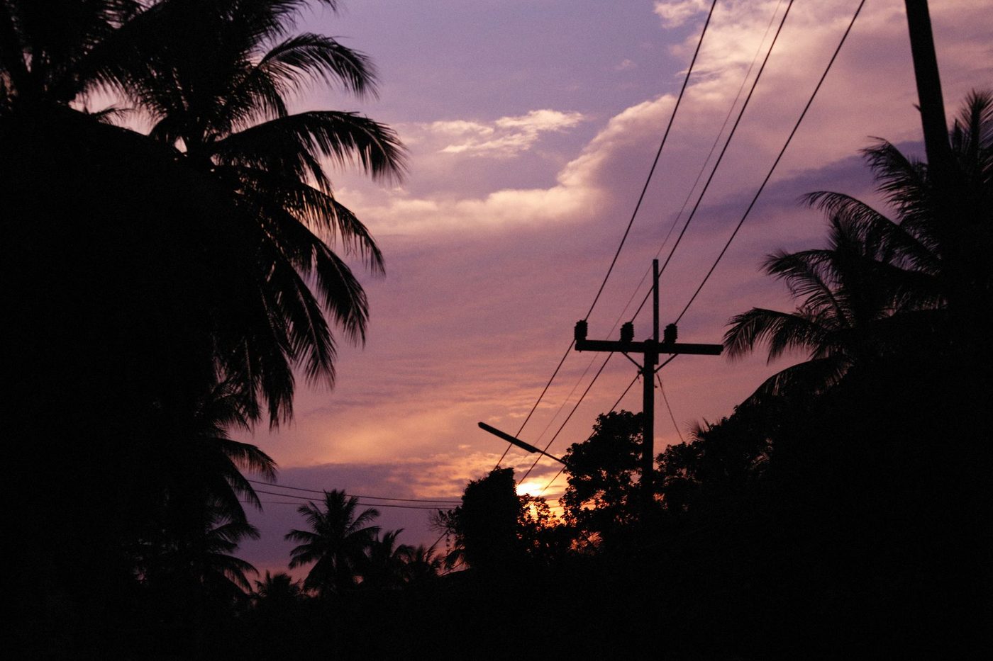 Silhouette of coconut palms and a power line pole against a tropical sunset sky