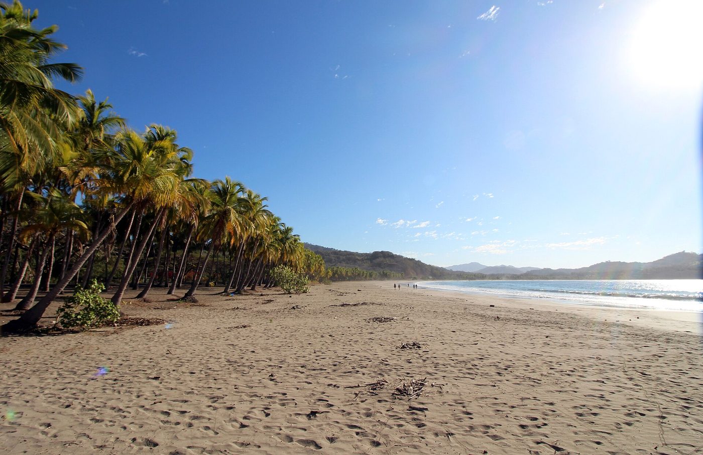 Palm-lined sand at Playa Carrillo under clear blue dry-season skies, Guanacaste