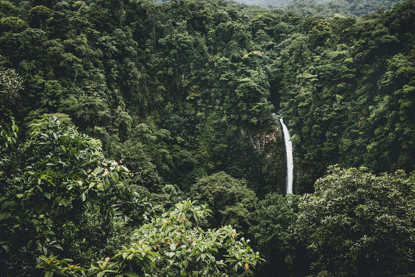 La Fortuna waterfall pouring through deep green rainforest in Costa Rica's green season