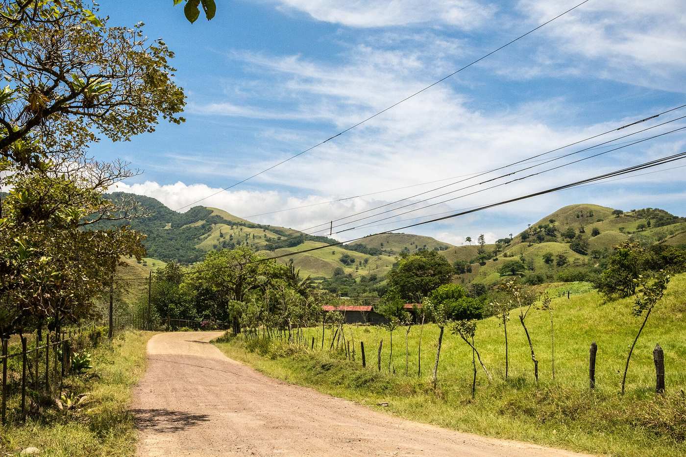 Gravel country road winding past fences into rolling green Guanacaste hills