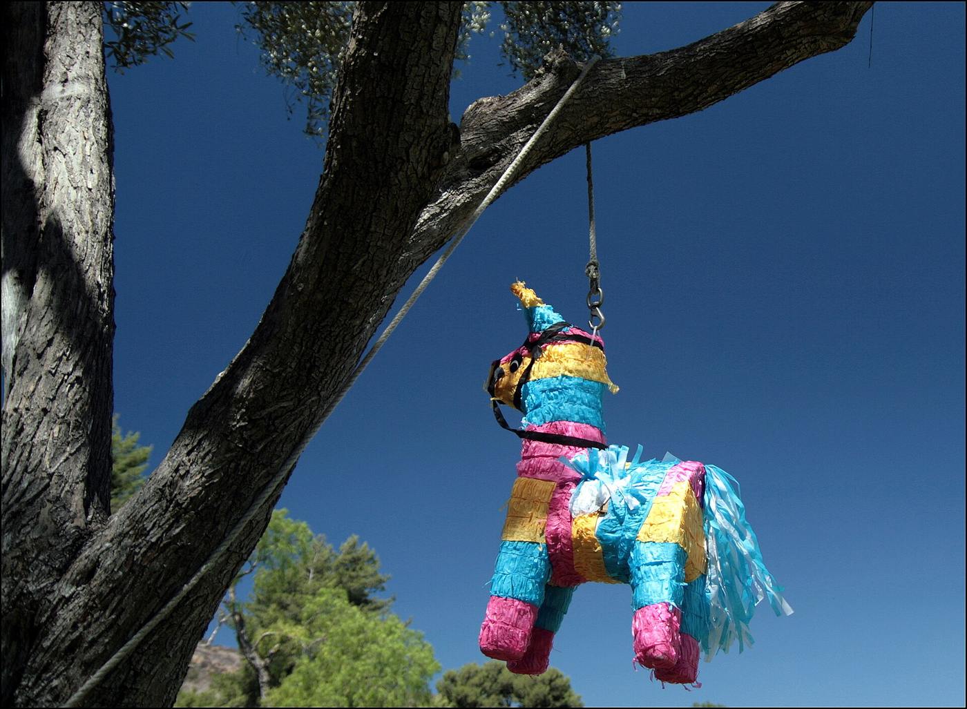 Colorful donkey pinata hanging from a tree branch against a deep blue sky