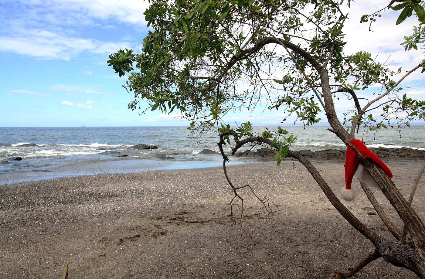 Santa hat hanging on a beach tree over the sand on Costa Rica's Pacific coast