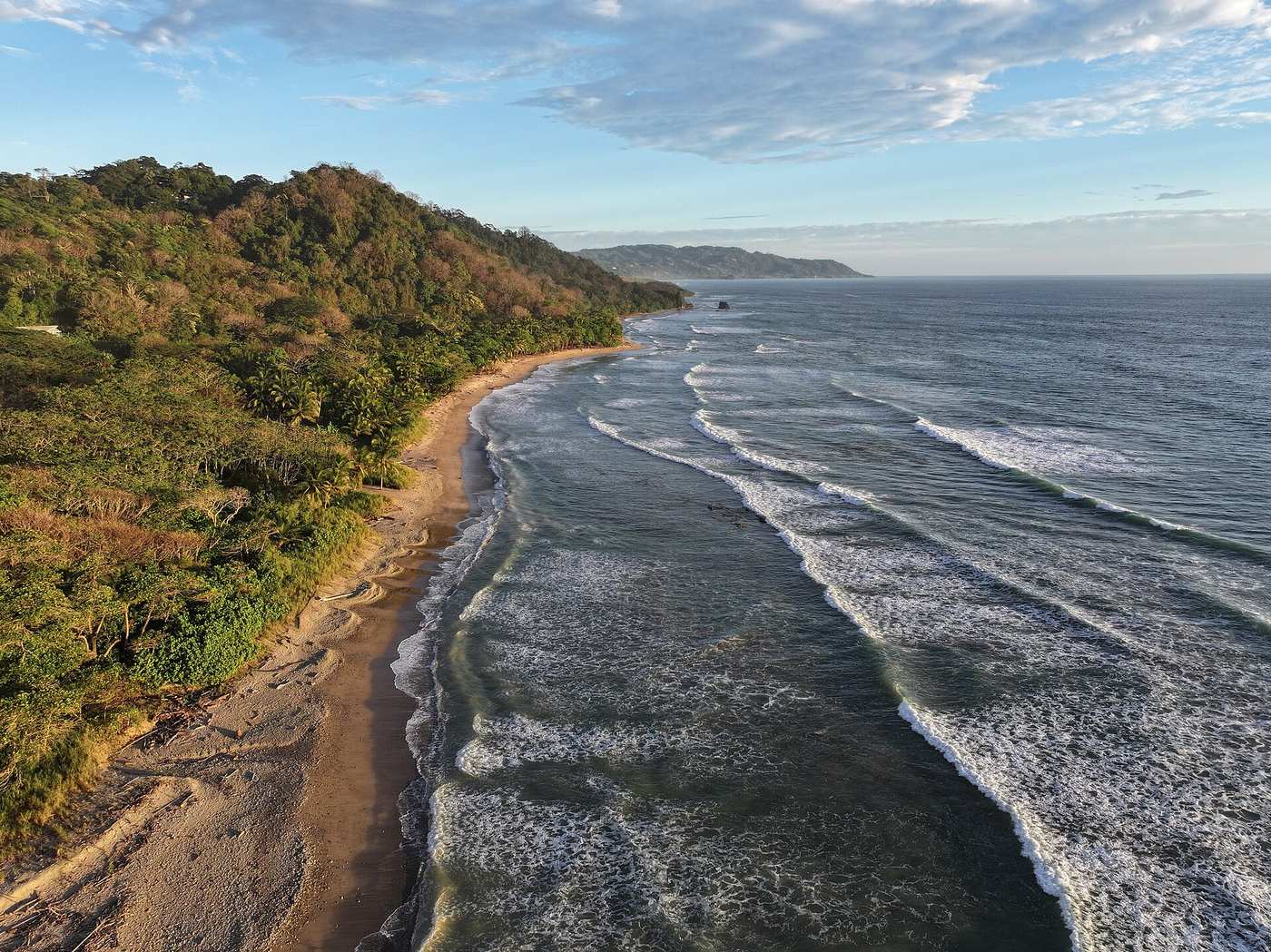 Undeveloped forested Costa Rican shoreline showing the public beach strip at the tide line