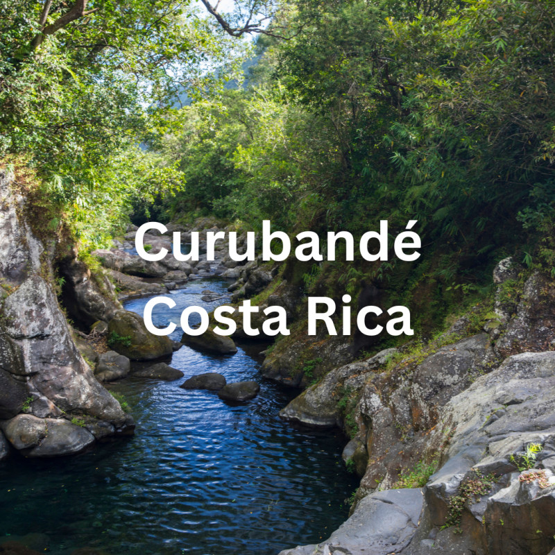 Curubandé, Guanacaste: Real Costa Rica Living Close to Everything