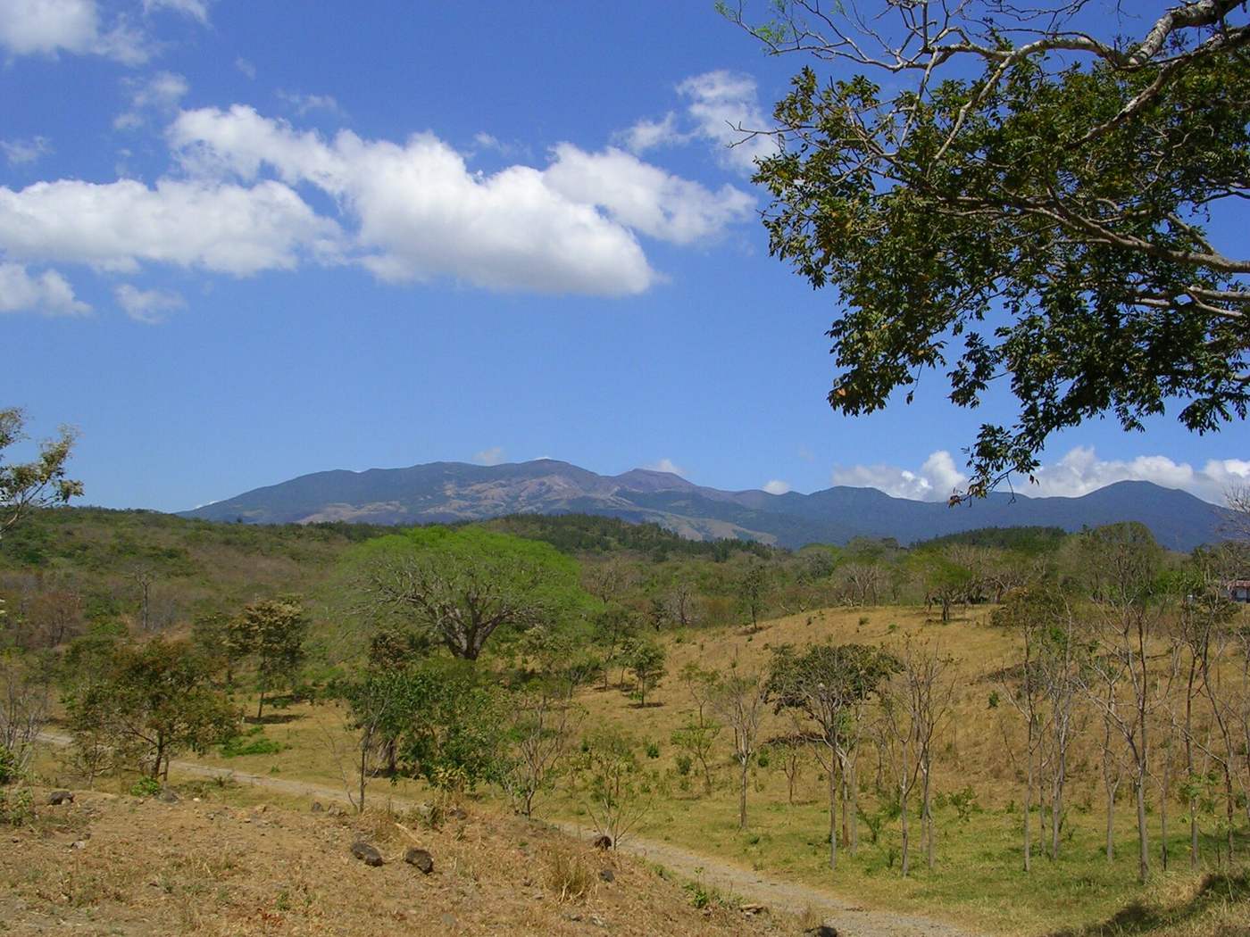 Dry pasture and forest below Rincon de la Vieja volcano in Guanacaste countryside