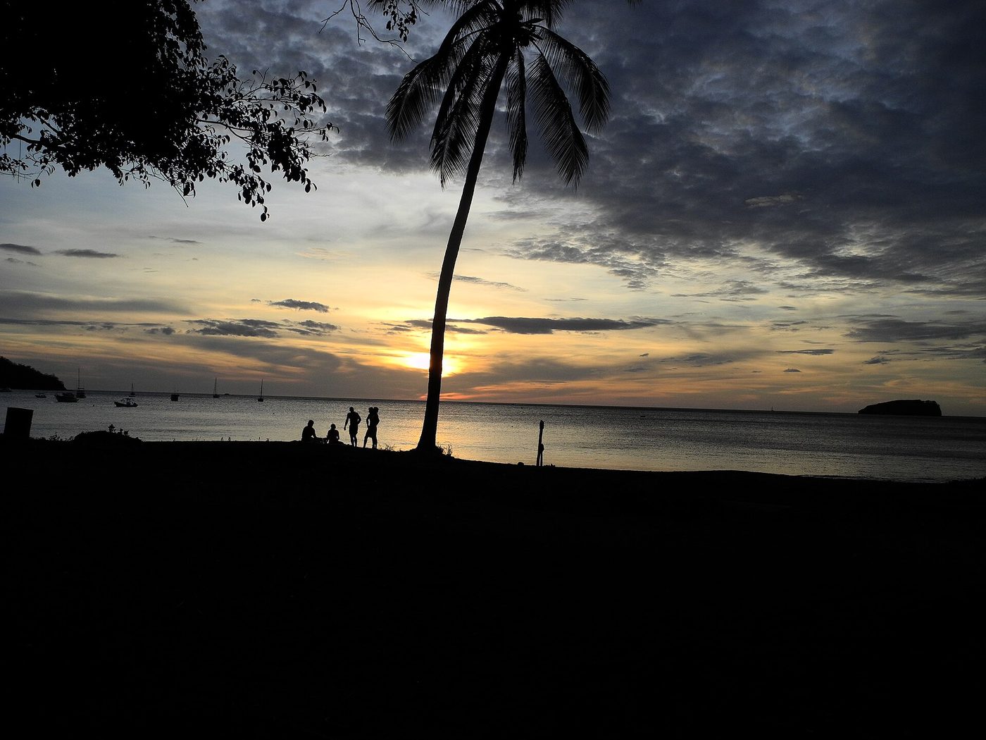 Palm tree silhouetted against a golden sunset over the bay at Playas del Coco