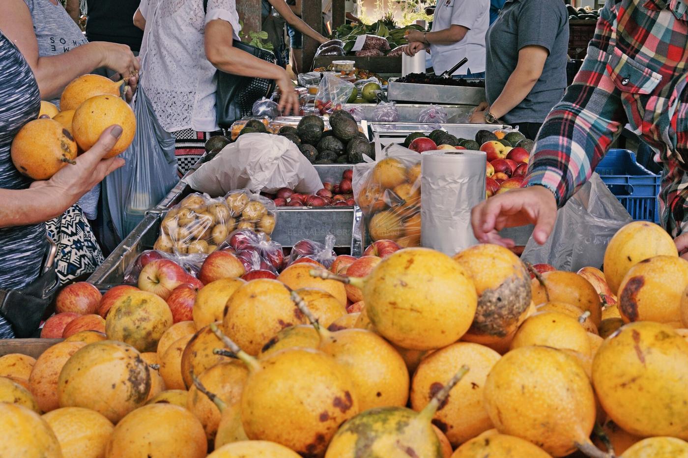 Eating Out vs Cooking In: Food Costs on the Gold Coast