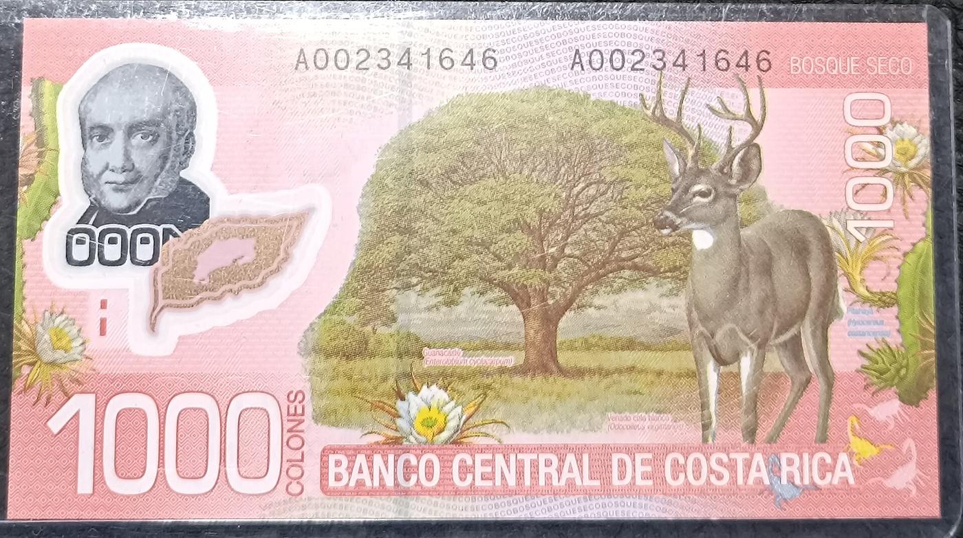 Reverse side of a Costa Rican one thousand colones banknote from the 2009 series