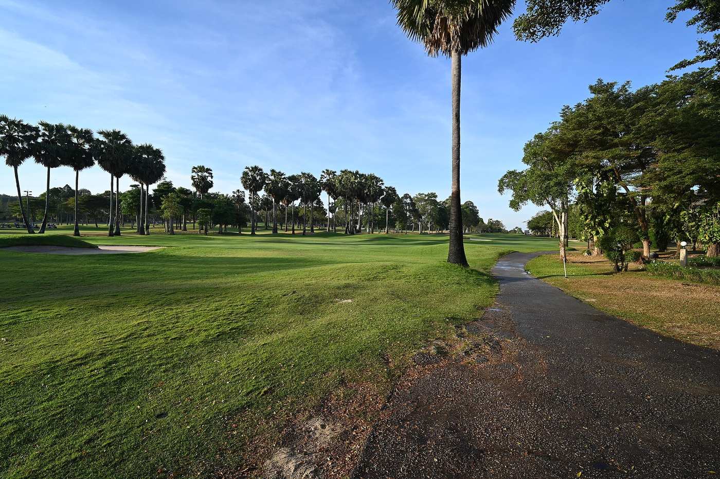 Golf, Pickleball, and Tennis: Staying Active on the Gold Coast