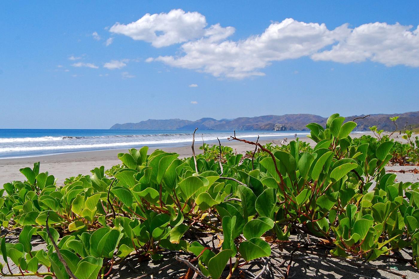 Guanacaste's Dry Season and Green Season: What Each Is Really Like