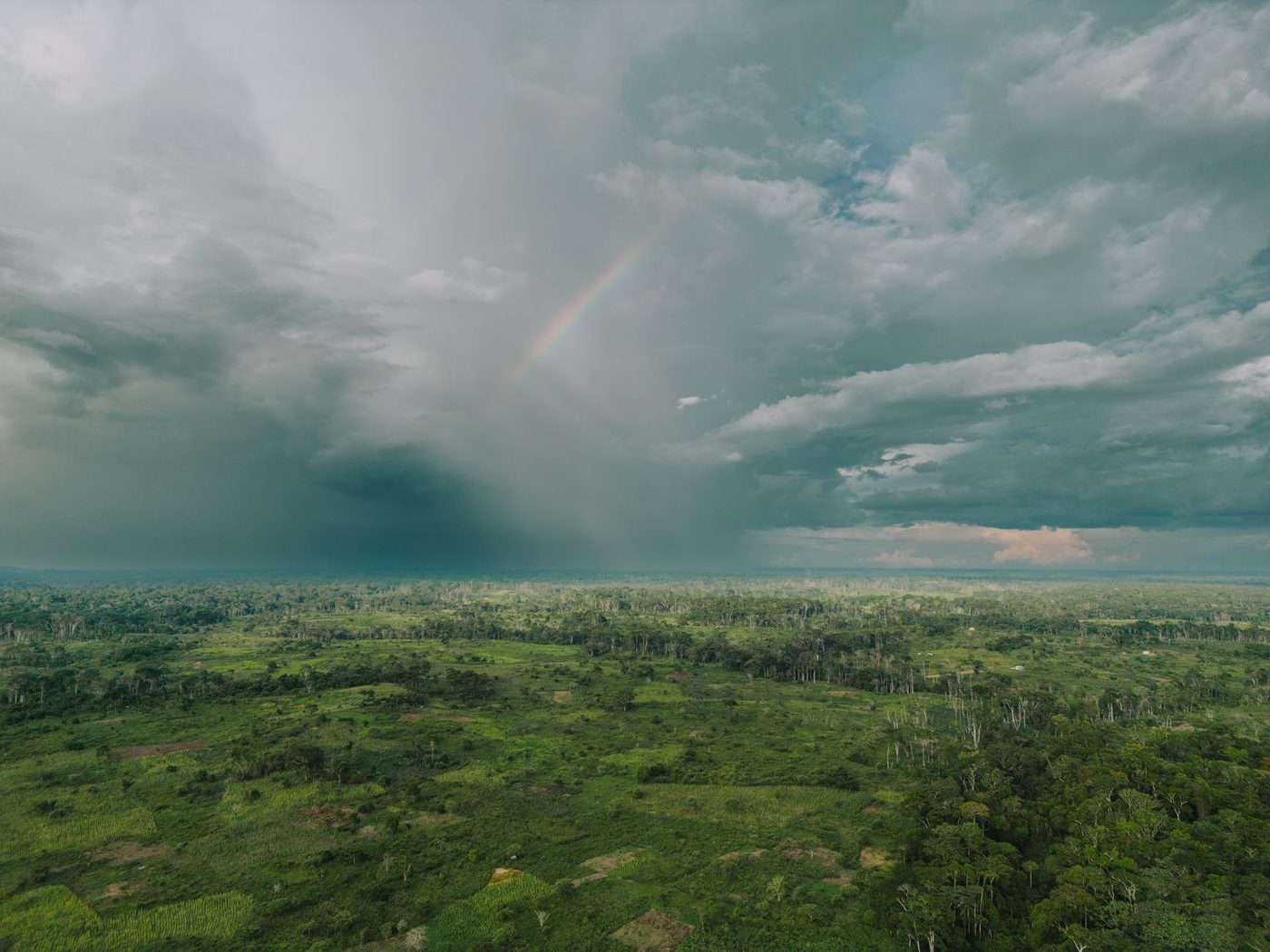 Aerial view of lush green tropical forest under dramatic storm clouds and a rainbow