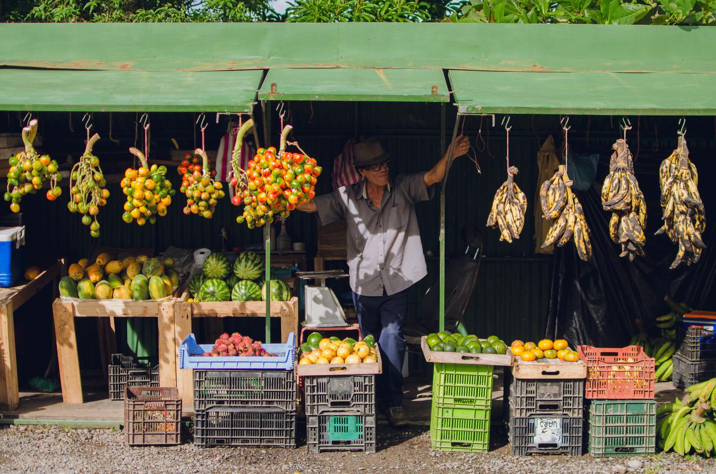 Roadside fruit stand vendor in Costa Rica surrounded by crates of produce and hanging bananas