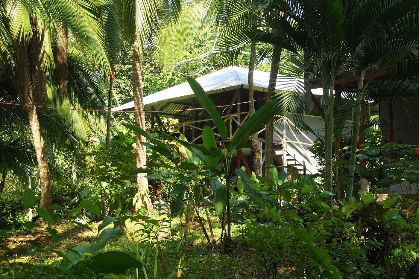 Small tropical rental house tucked among palms and lush garden in Costa Rica