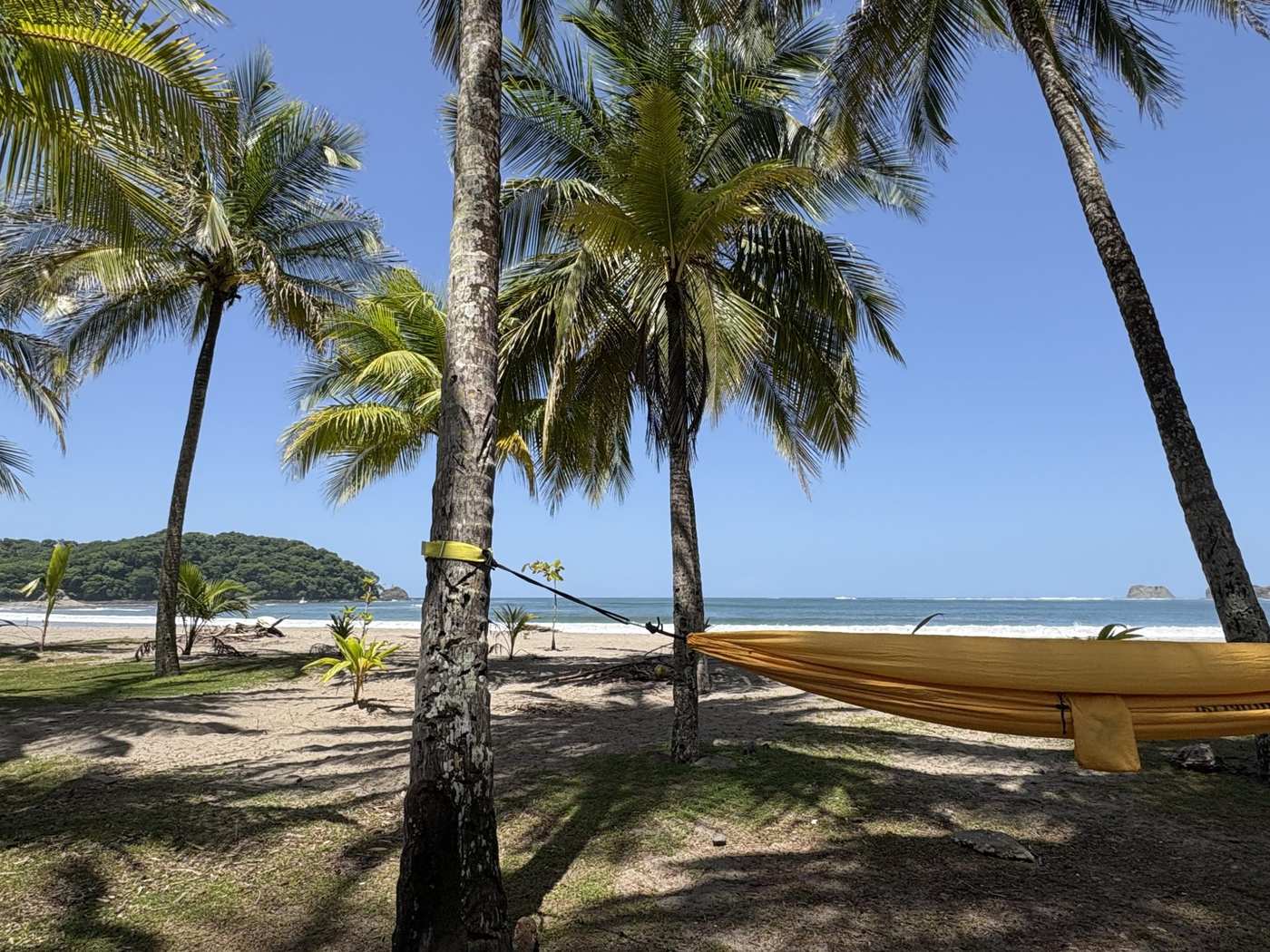 Hammock strung between palm trees on Playa Carrillo beach in Guanacaste, Costa Rica