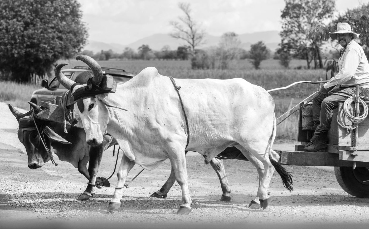 Sardinal and Coco: The Story of Guanacaste's Fastest-Changing District