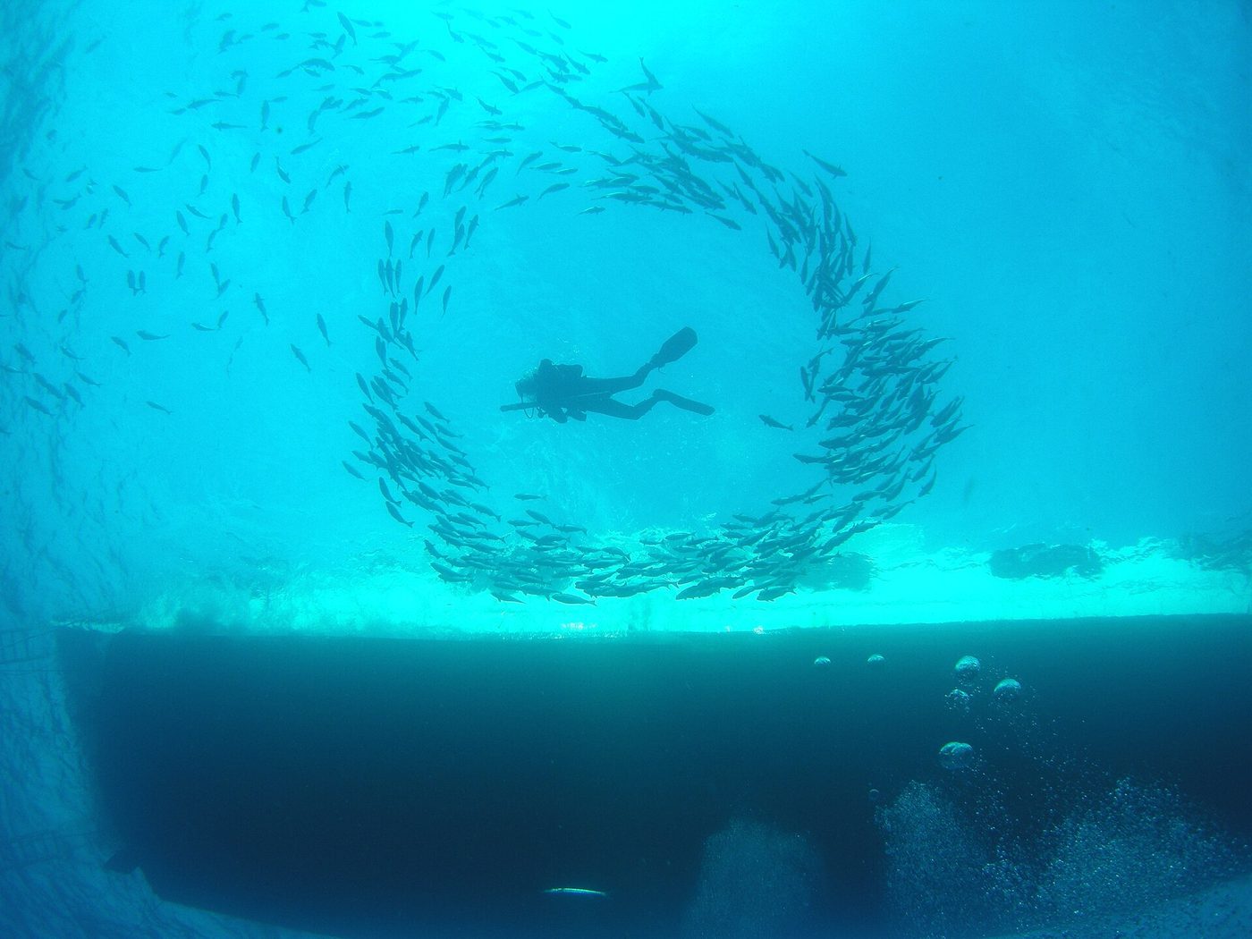 Scuba Diving in Playas del Coco: A First-Timer's Guide