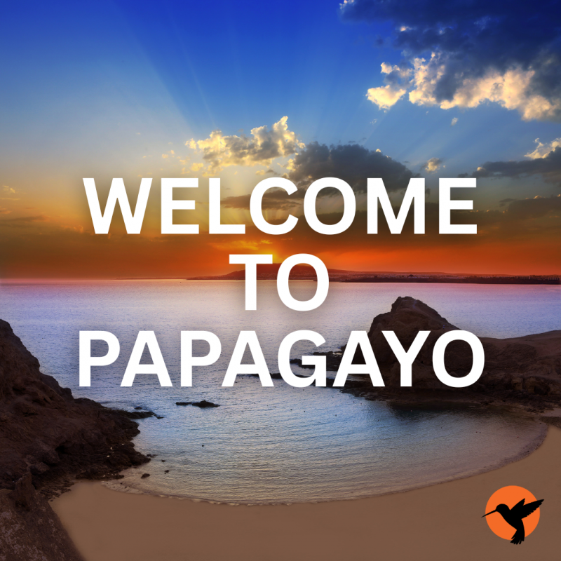 The Ultimate Expat Guide to Life in the Papagayo Region